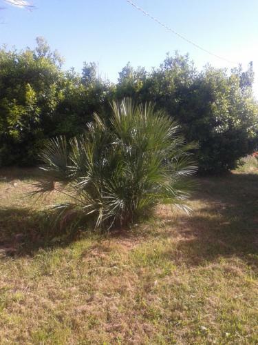 Agroturismo I Greppioli
