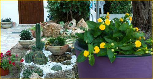 Bed & Breakfast Ai Parchi Dei Parrini
