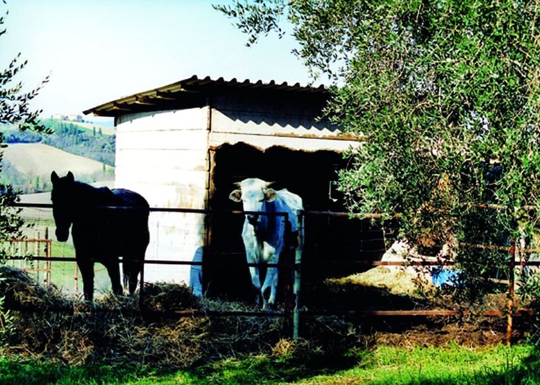 Agroturismo Agriturismo Sorbigliana