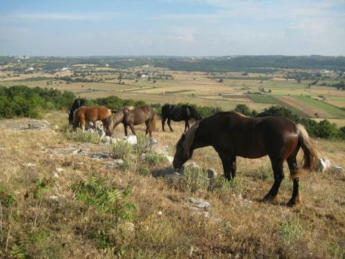 Apartamento Le Dimore Della Via Lattea