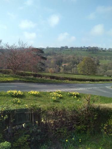 Bed & Breakfast Beechlands B & B