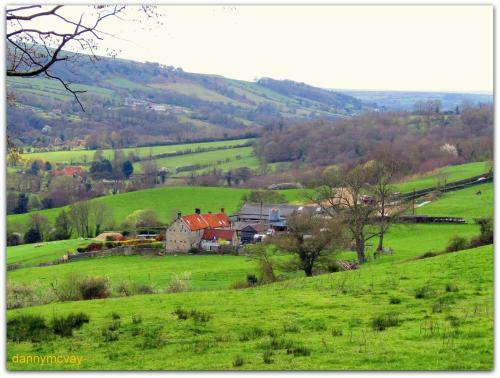 Bed & Breakfast Beechlands B & B