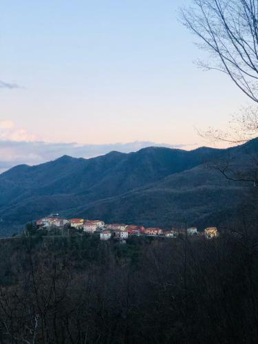 Apartamento Appartamento In Residence Nella Zona Incantevole