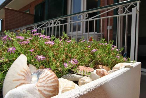 La Bouganville Monolocale 400 Mt Dal Mare