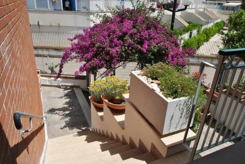 La Bouganville Monolocale 400 Mt Dal Mare