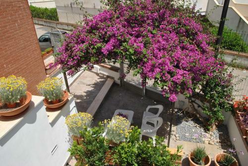 La Bouganville Monolocale 400 Mt Dal Mare
