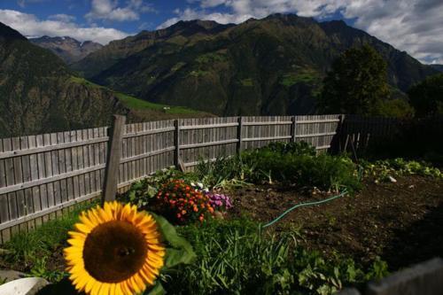 Apartamento Lechenhof