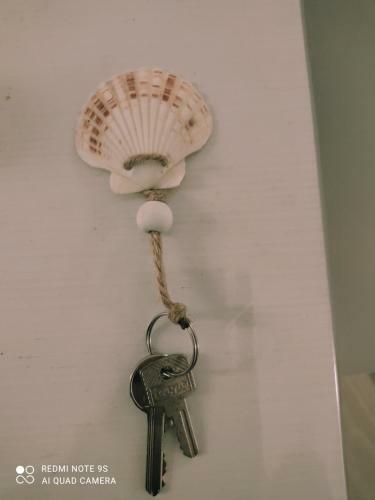 Hostal Sapore Di Mare