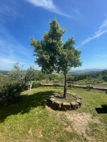 Apartamento Casa Di Campagna In Collina