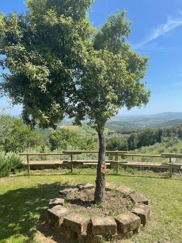 Apartamento Casa Di Campagna In Collina