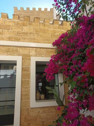 Hostal Casa Maesta
