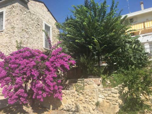 Apartamento Casa A Mare