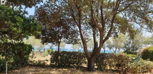 Villa Fronte Mare