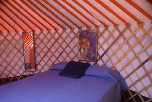 Yurta Cloe