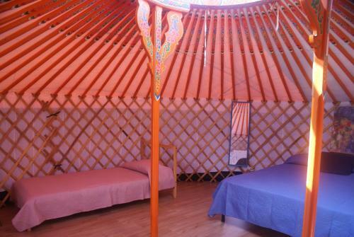 Yurta Cloe