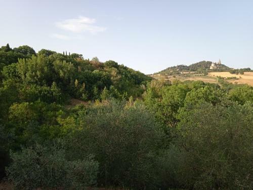 San Giorgio Casa Contadina