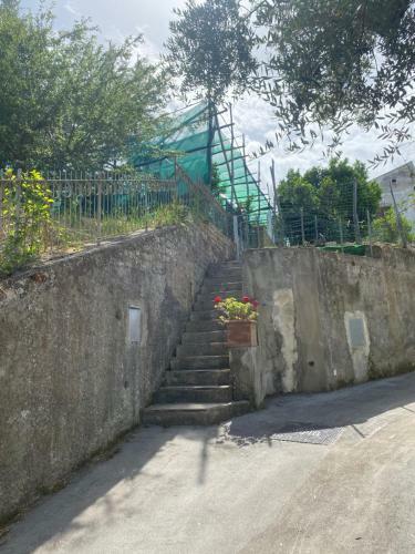 Villa Firefly Home Sorrento