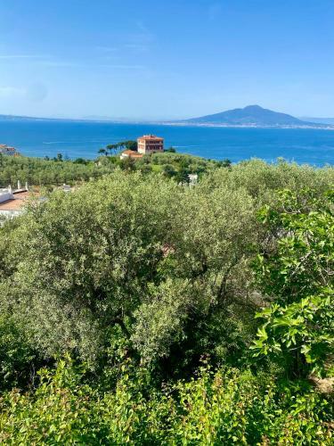 Villa Firefly Home Sorrento