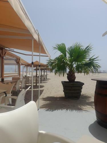 Casa Sol Y Mar