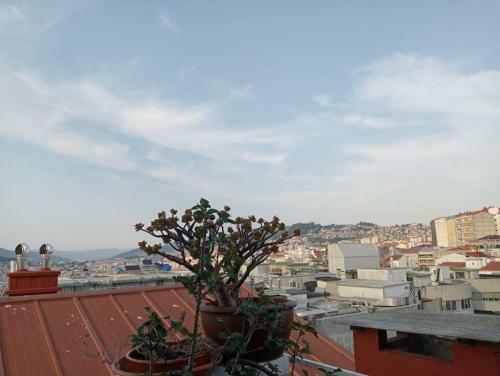 Apartamento �tico Con Terraza En El Centro De Vigo