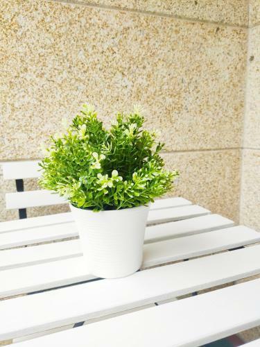 Apartamento Almar Carril