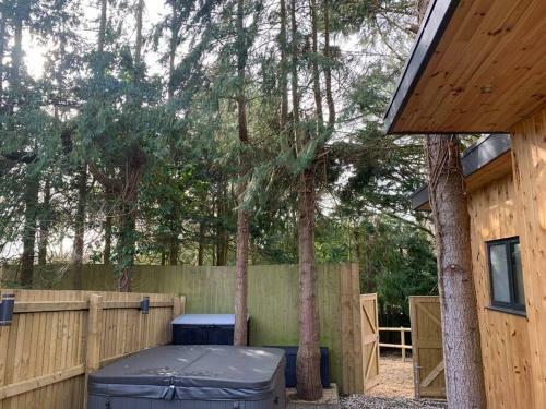 The Treehouse