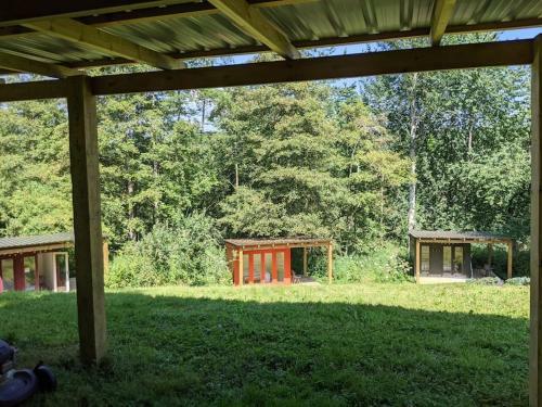Stay Wild Retreats