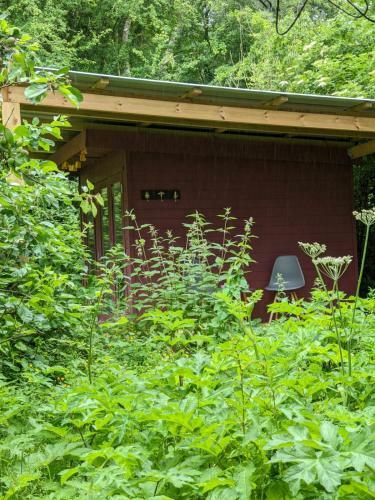 Stay Wild Retreats