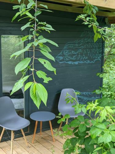 Stay Wild Retreats