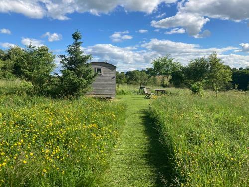 Apartamento The Shepherd's Hut With Swimming Pool