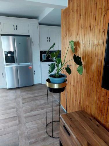 Apartamento Bluenfield