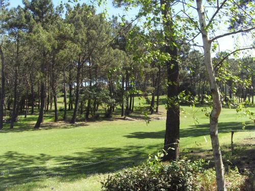 Lacanau Oc�an