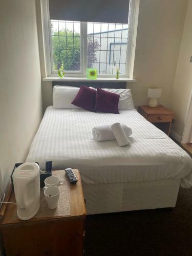 Swan Hotel