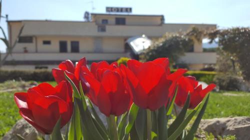 Hotel Vittoria