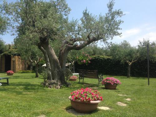 Agroturismo Villa Vetiche