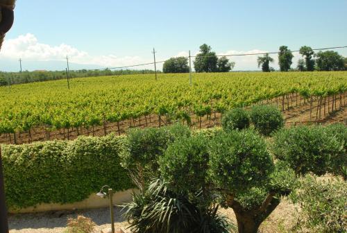 Agroturismo Villa Vetiche