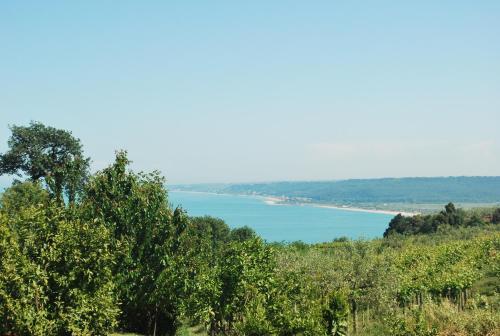 Agroturismo Villa Vetiche