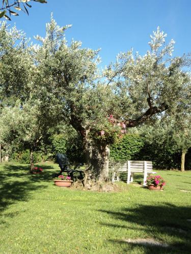 Agroturismo Villa Vetiche