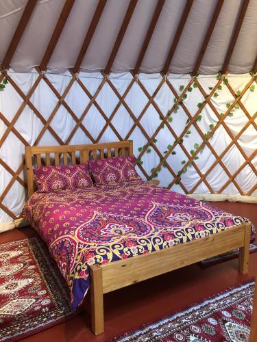 Kids Love Yurts