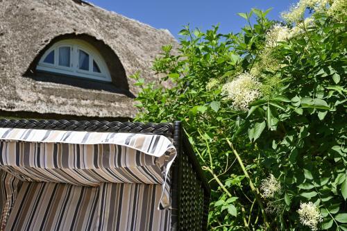 Apartamento Landhaus Vilmnitz - Wohnung 1