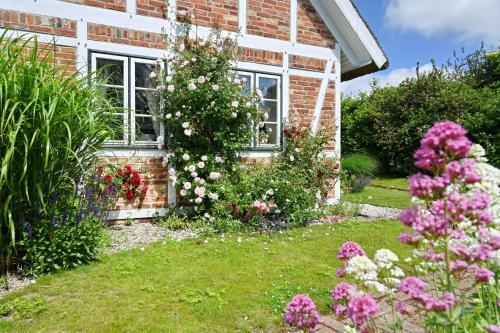 Apartamento Landhaus Vilmnitz - Wohnung 10