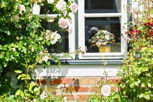 Apartamento Landhaus Vilmnitz - Wohnung 9