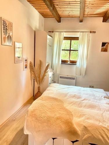 Ferienhaus Regeneration Bayerischer Wald