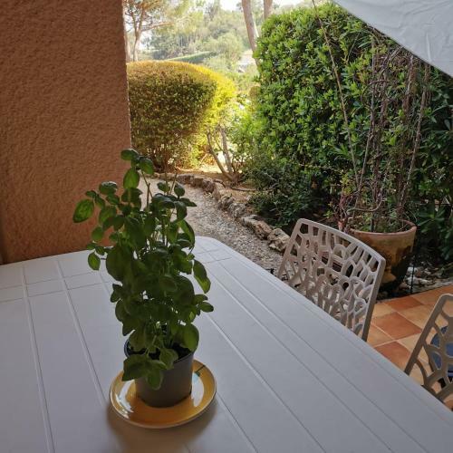 Apartamento Garden Colors Sylvabelle