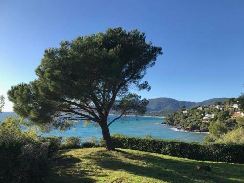 Nouveau : Villa Front De Mer Avec Acc�s Plage