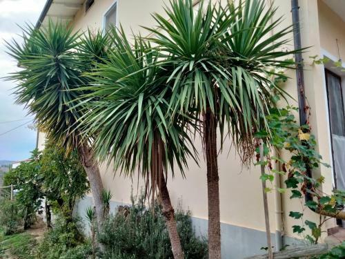 Bed & Breakfast Casa Il Canto