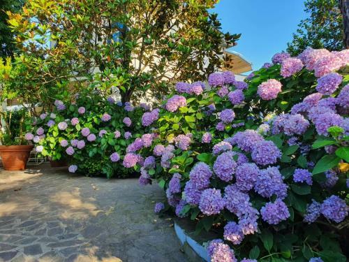 Bed & Breakfast Lake&more