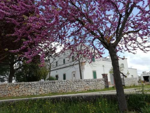 Apartamento Masseria Angiulli Nuova
