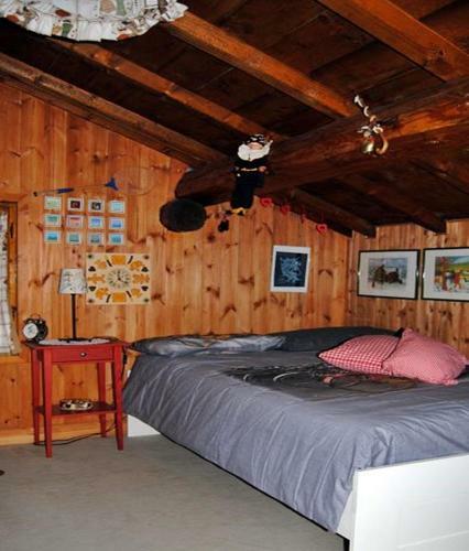 Chalet Gineprino