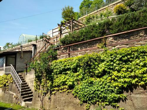 Apartamento Due Camere E UNA Bici